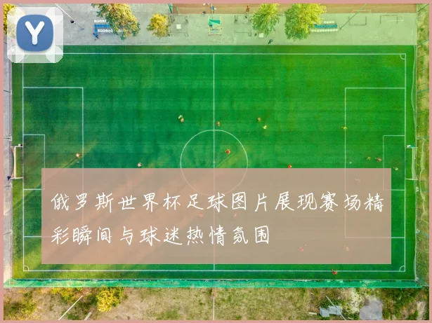 俄罗斯世界杯足球图片展现赛场精彩瞬间与球迷热情氛围
