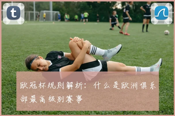 欧冠杯规则解析:什么是欧洲俱乐部最高级别赛事